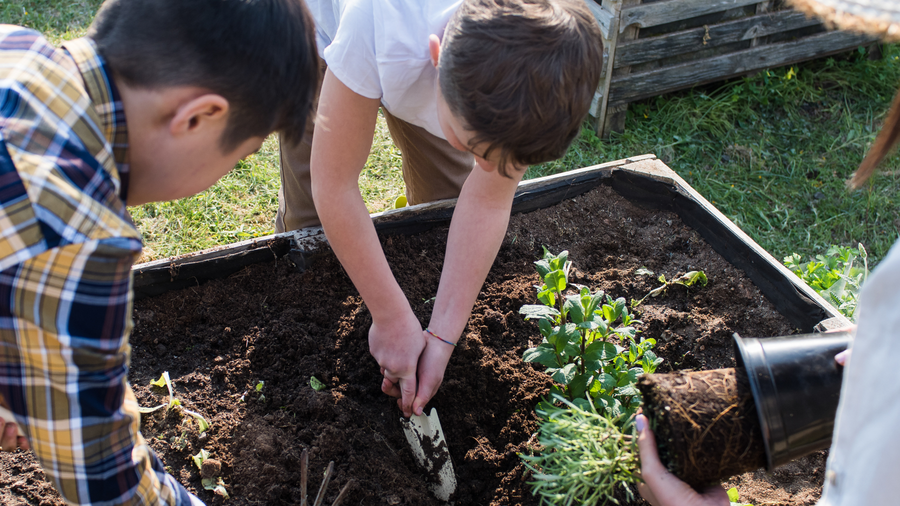 5 easy + practical things you can do today to live more sustainably