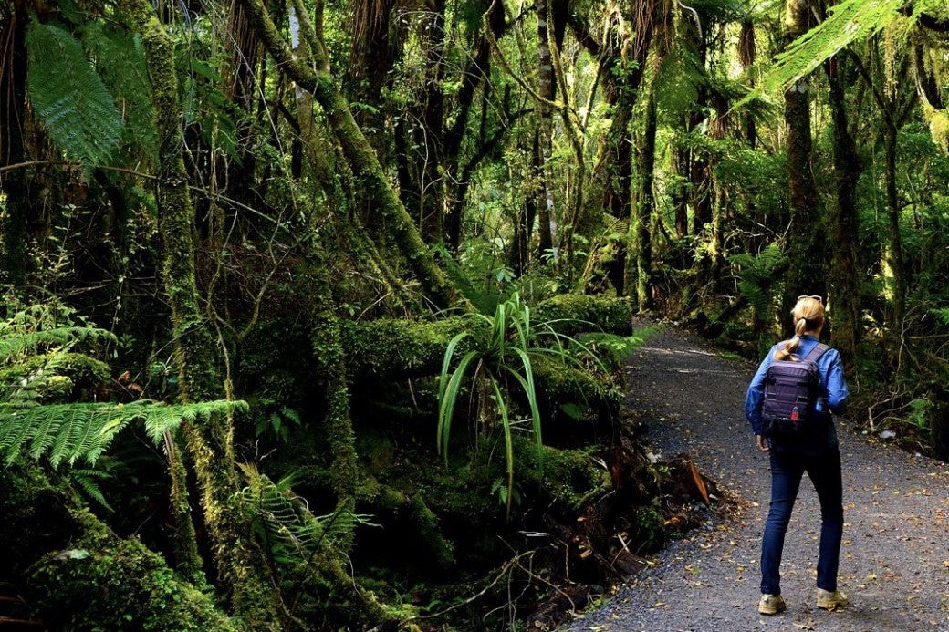 Lifestream Health and Wellness company, plant-based supplements, getting out in nature