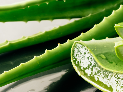 Hello Aloe! The amazing benefits of Aloe Vera