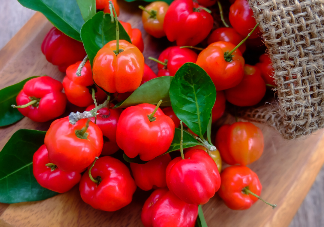 Unlock the Power of Natural Vitamin C: Boost Your Health and Immunity Naturally!