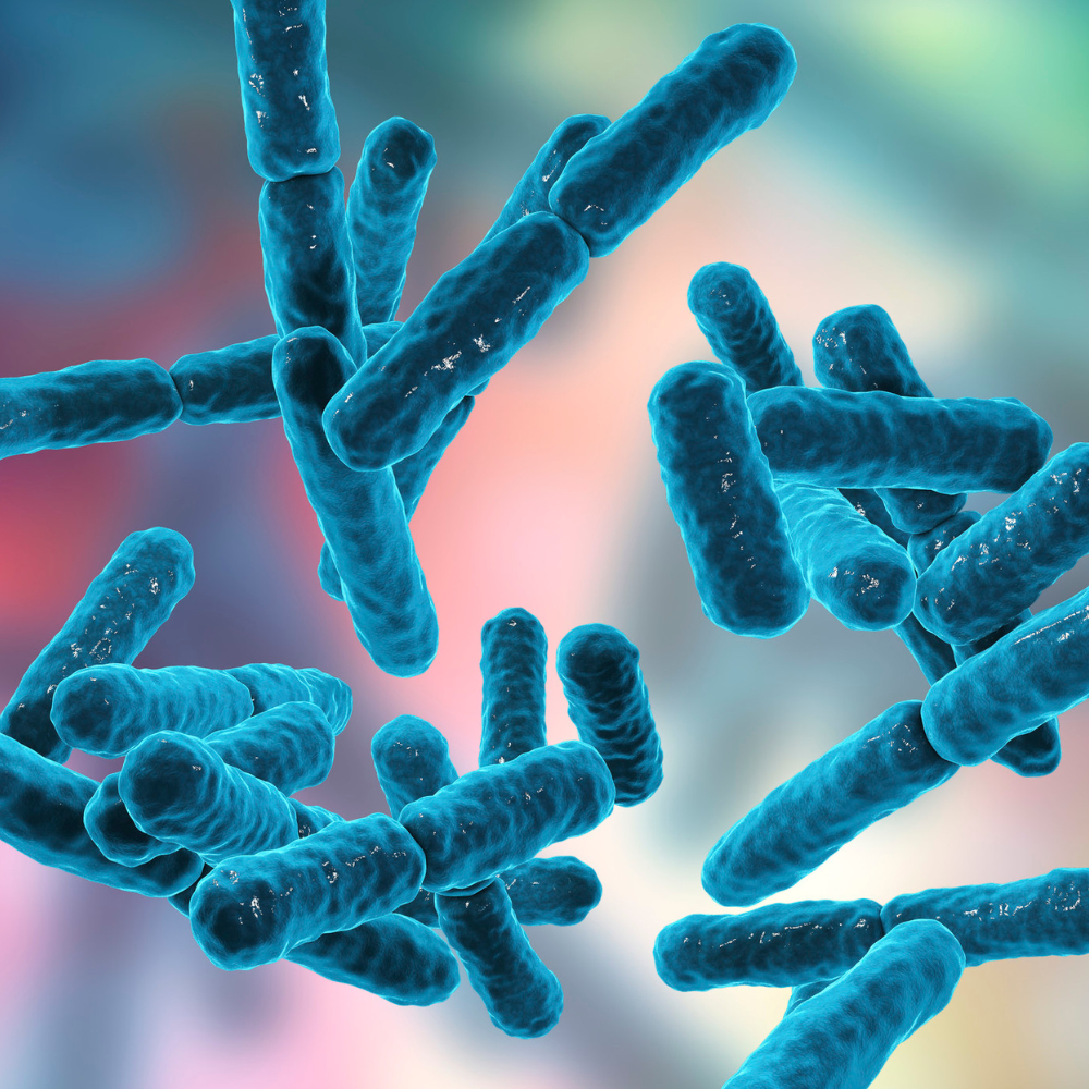 Probiotics - why more CFU's isn't always better