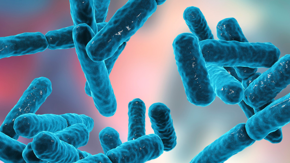 Probiotics - why more CFU's isn't always better