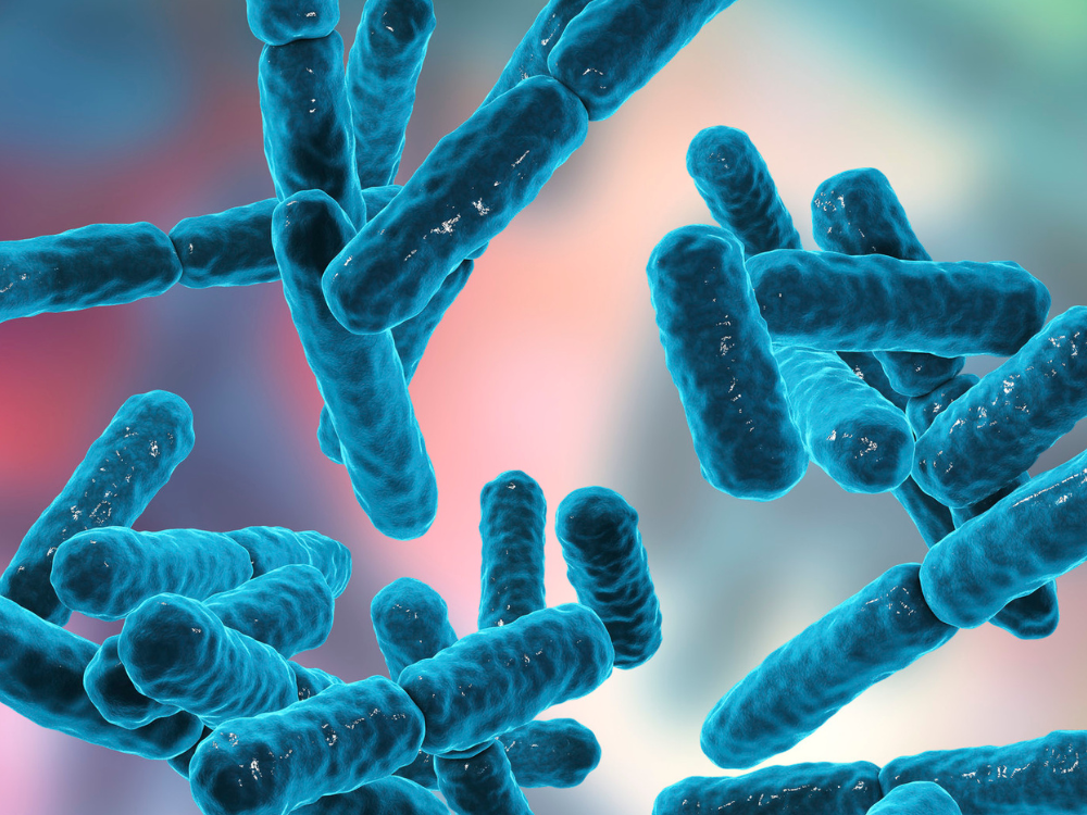 Probiotics - why more CFU's isn't always better