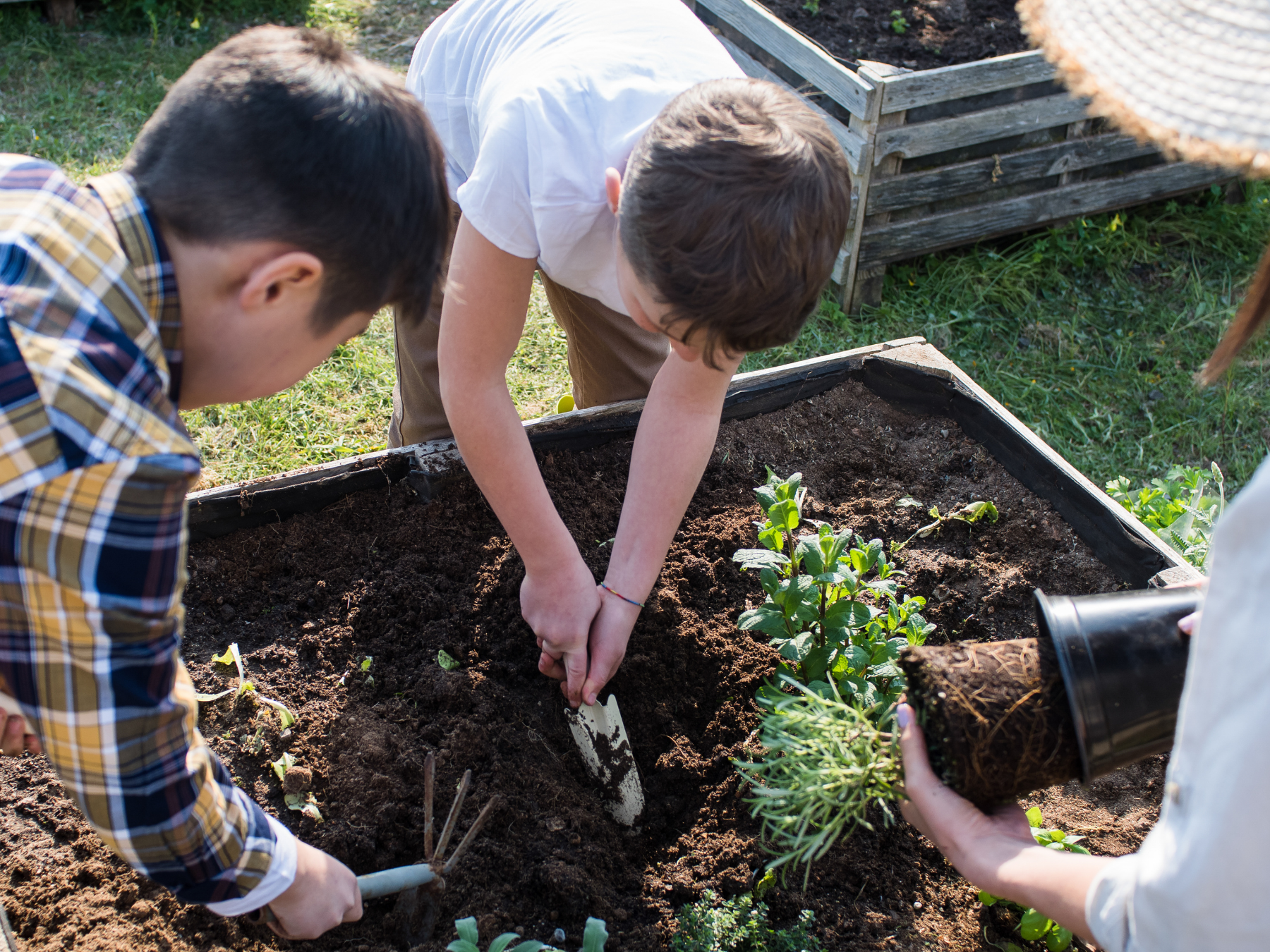 5 easy + practical things you can do today to live more sustainably