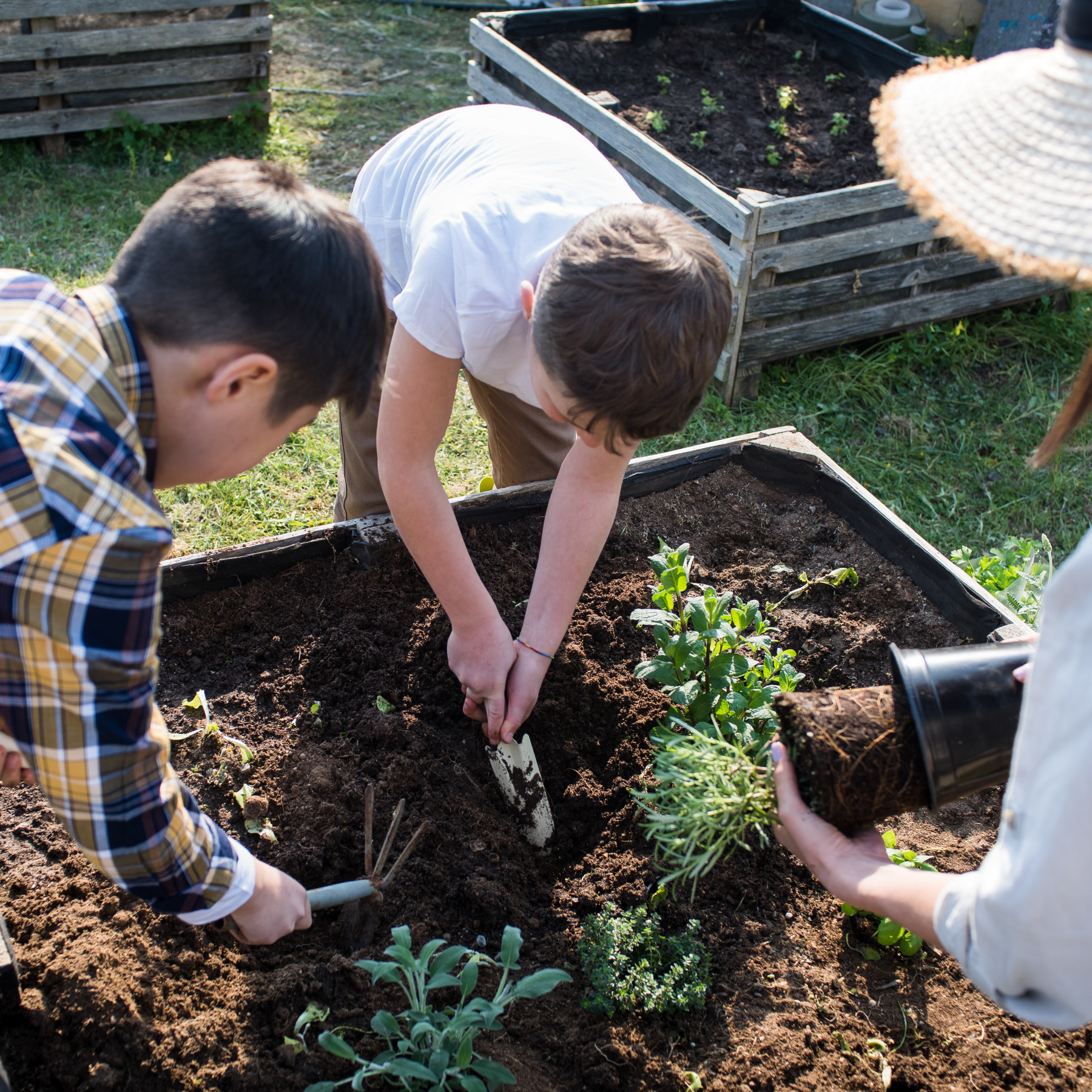 5 easy + practical things you can do today to live more sustainably