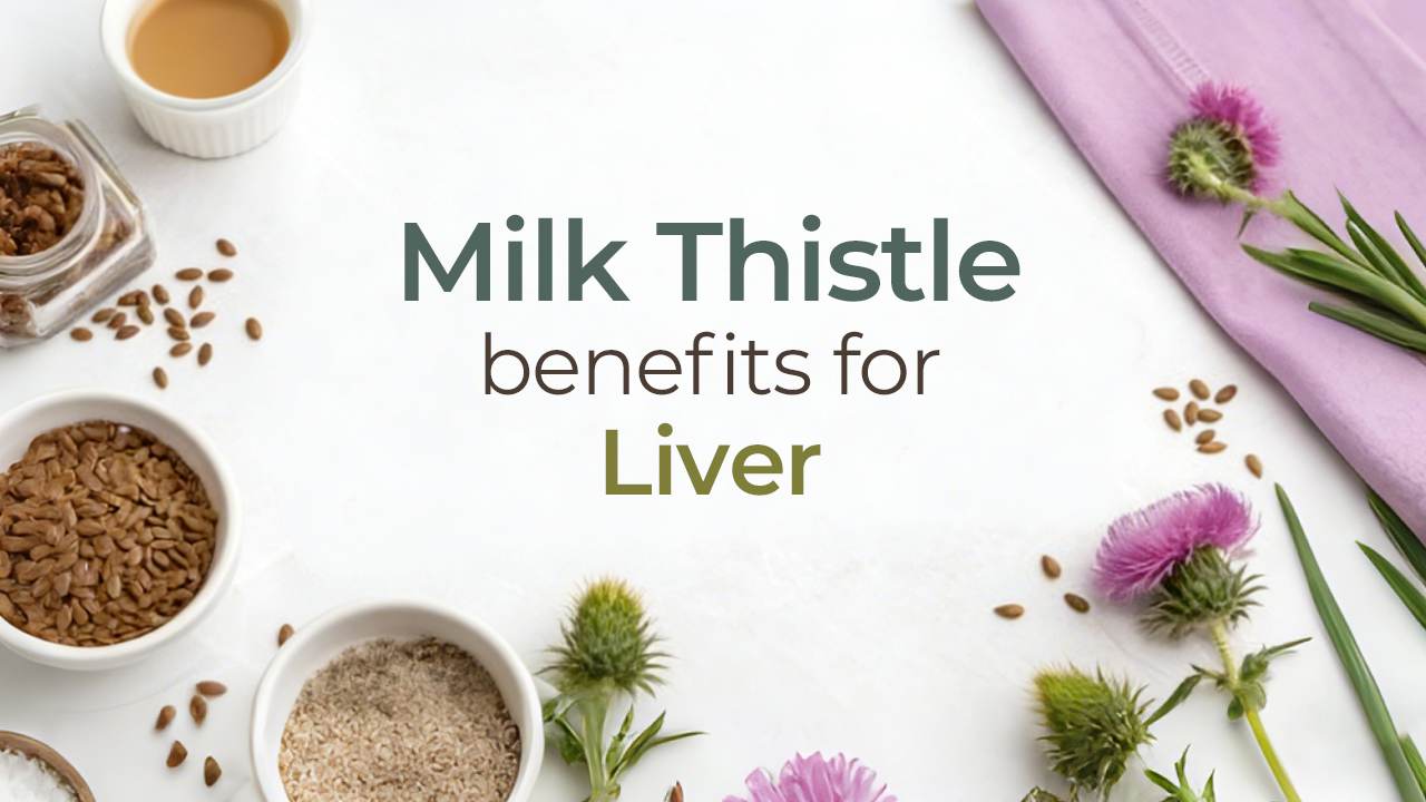 How Milk Thistle Supports Everyday Liver Metabolism