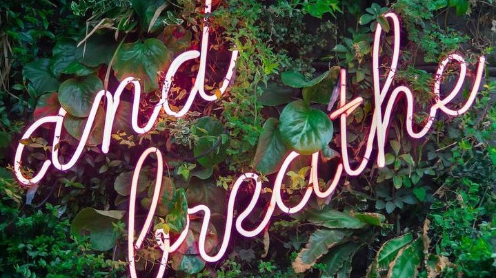 8 tips for calming anxiety and nurturing your wellbeing