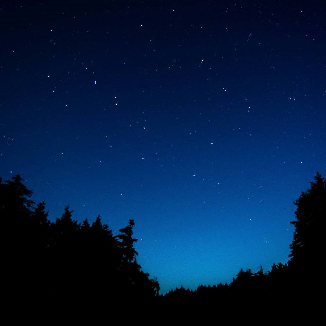 How gut health affects our sleep well-being