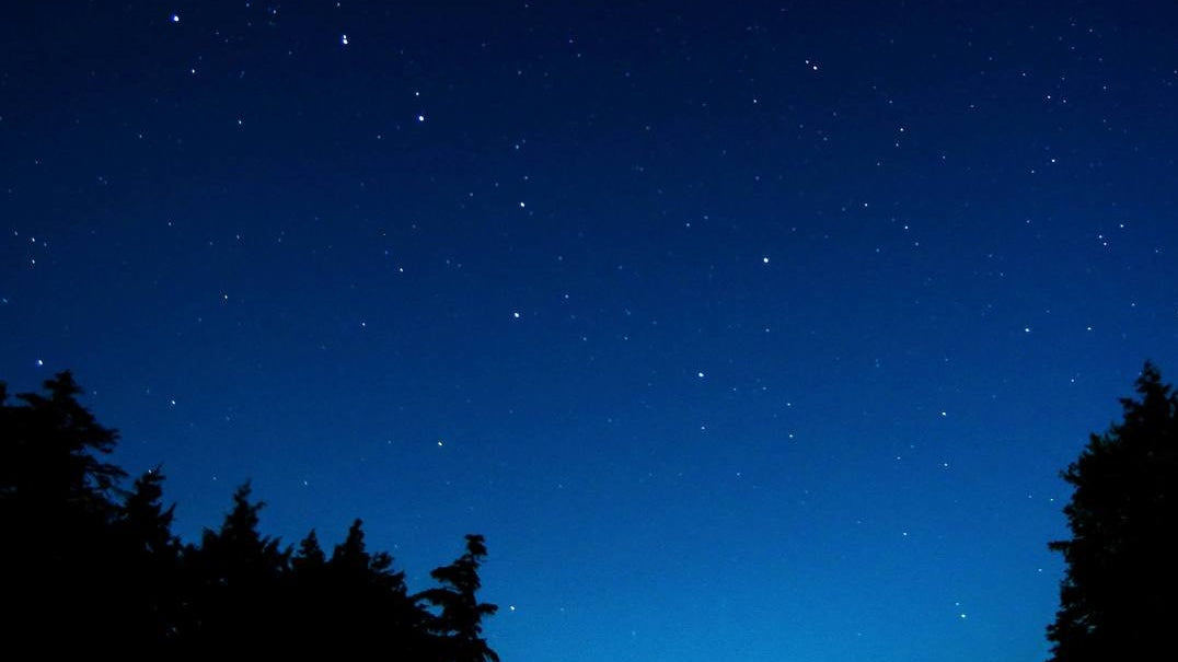 How gut health affects our sleep well-being