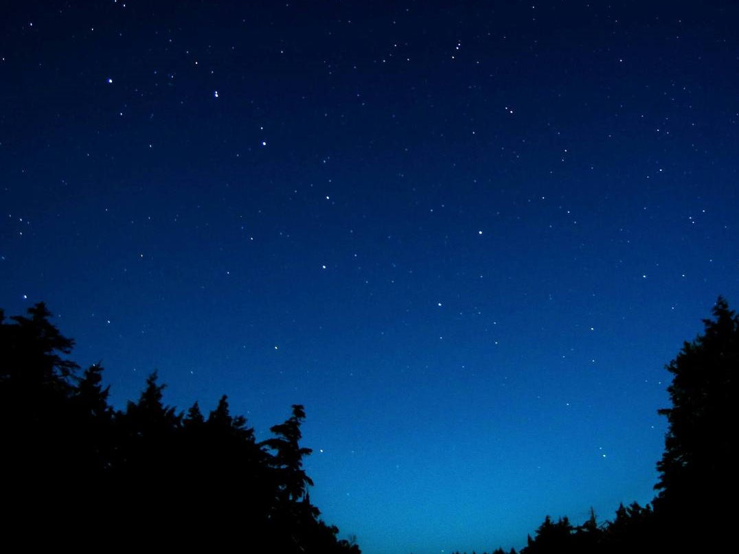 How gut health affects our sleep well-being