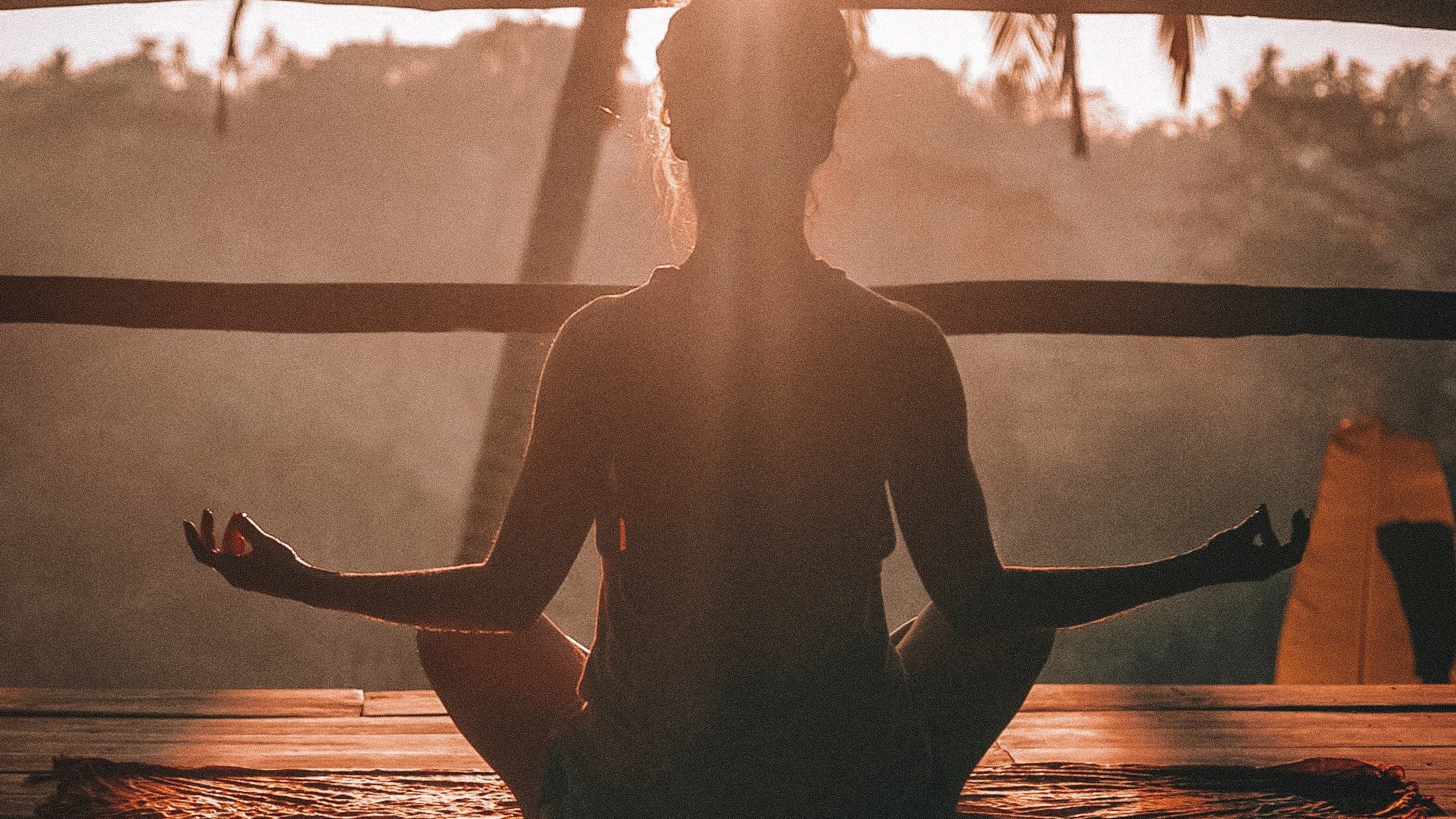 Why Is My Gut Health So Important?