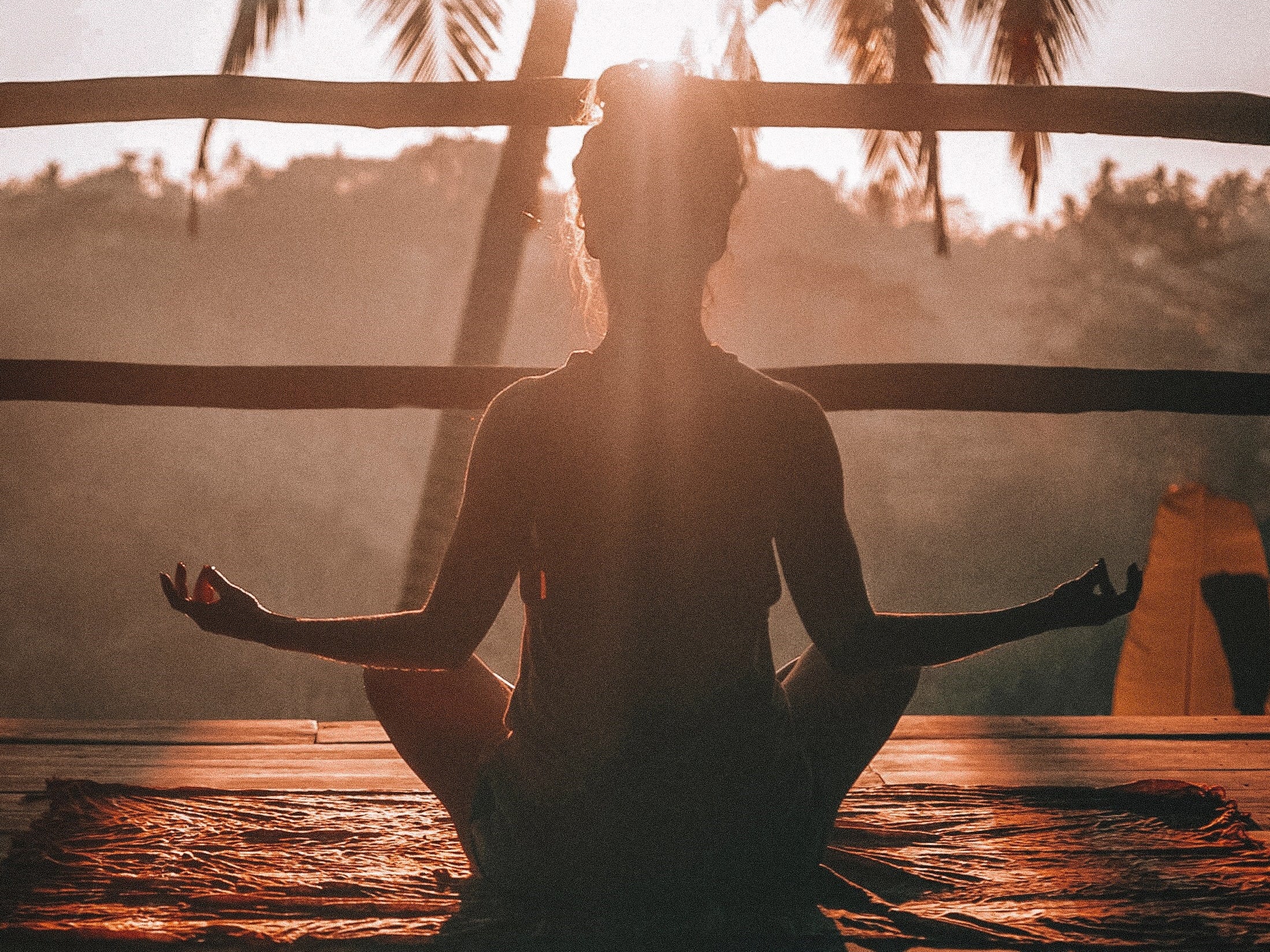 Why Is My Gut Health So Important?