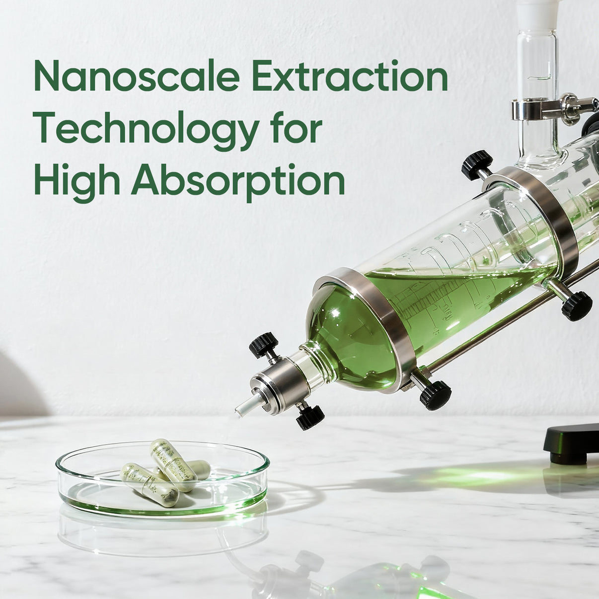 Milk Thistle Detox+ – Lifestream NZ