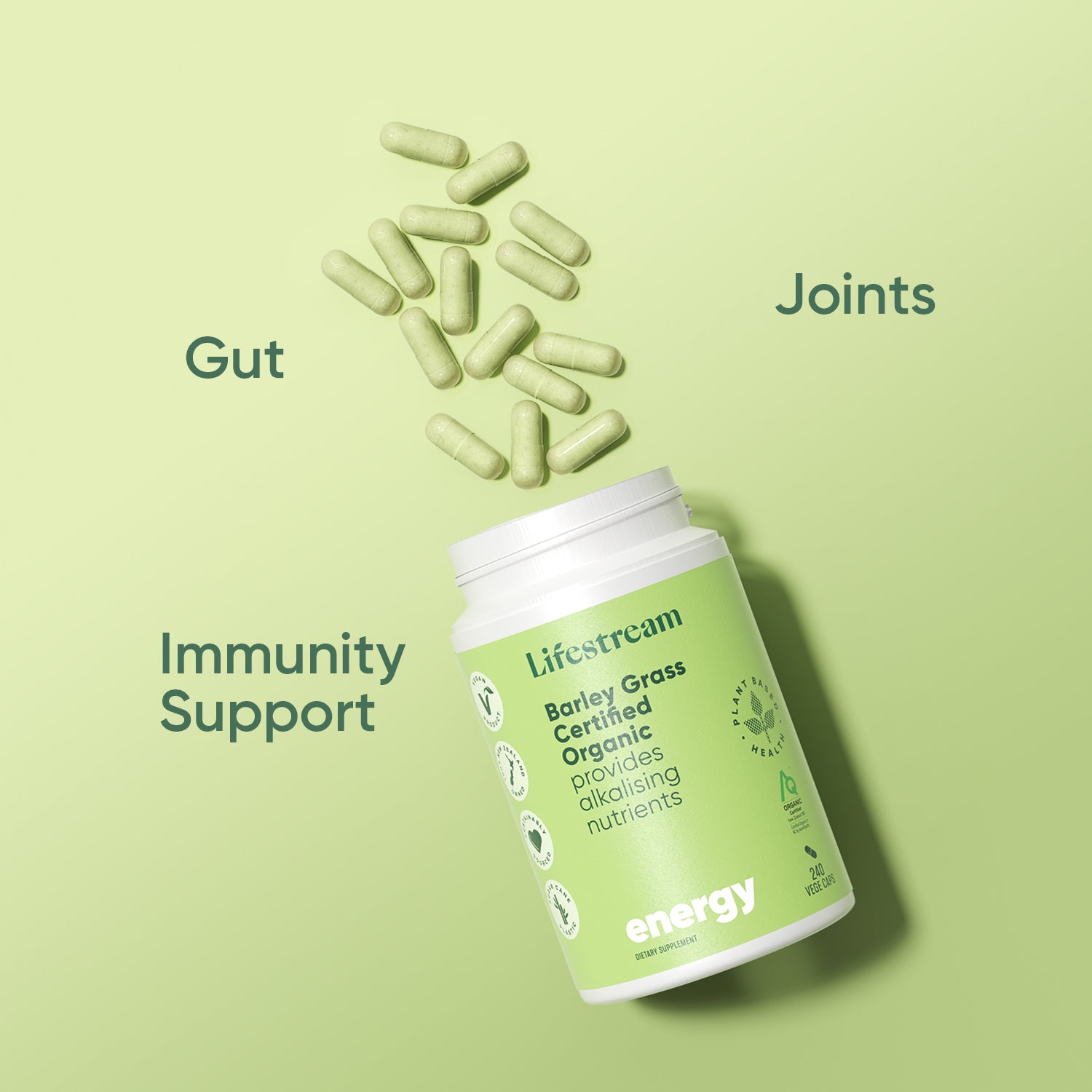 Barley Grass Certified Organic