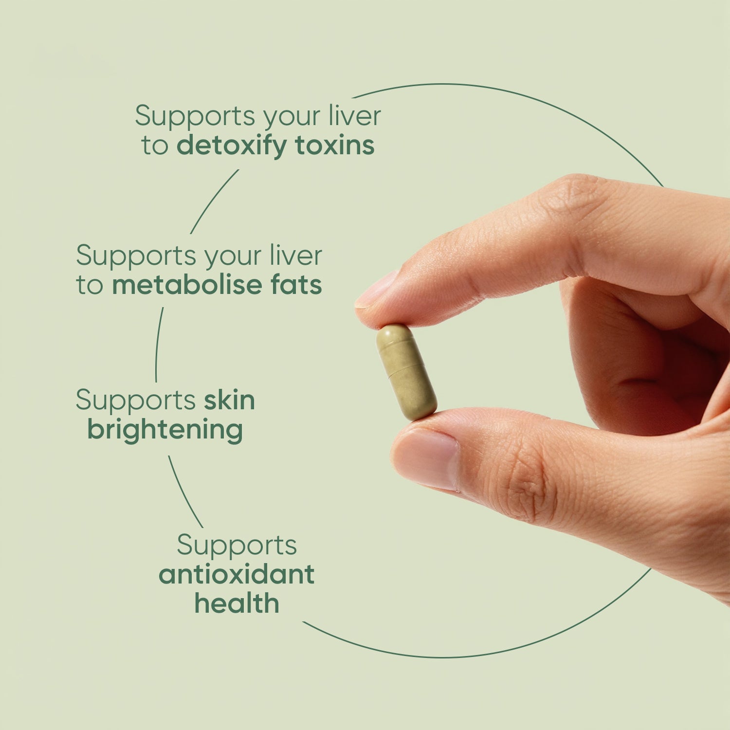 Milk Thistle 3X Detox+