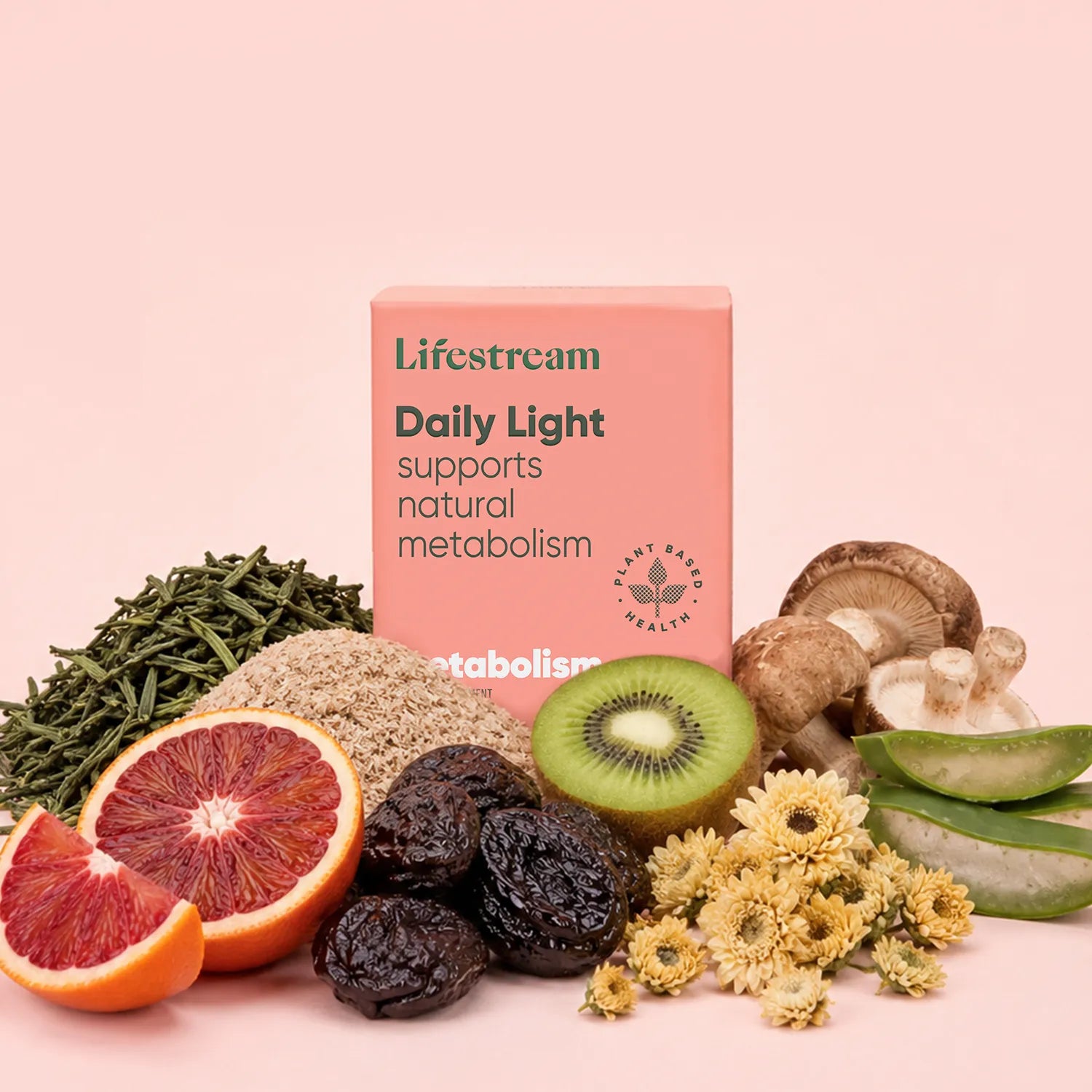 Daily Light