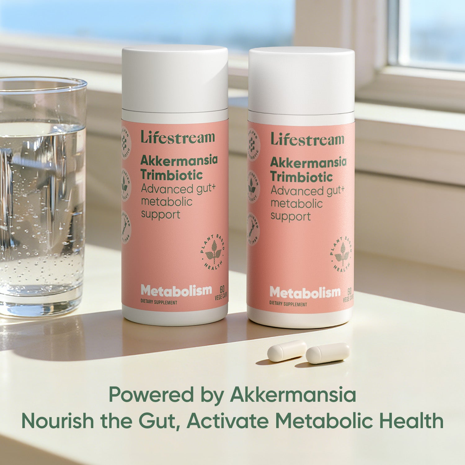 Akkermansia Trimbiotic