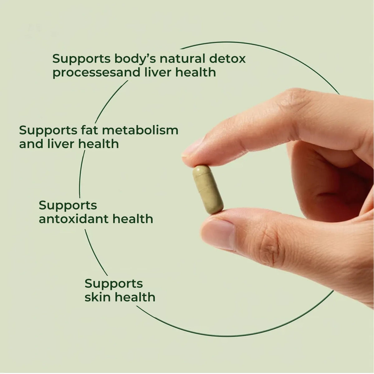 Milk Thistle 3X Detox+（Multi-Buy Savings）