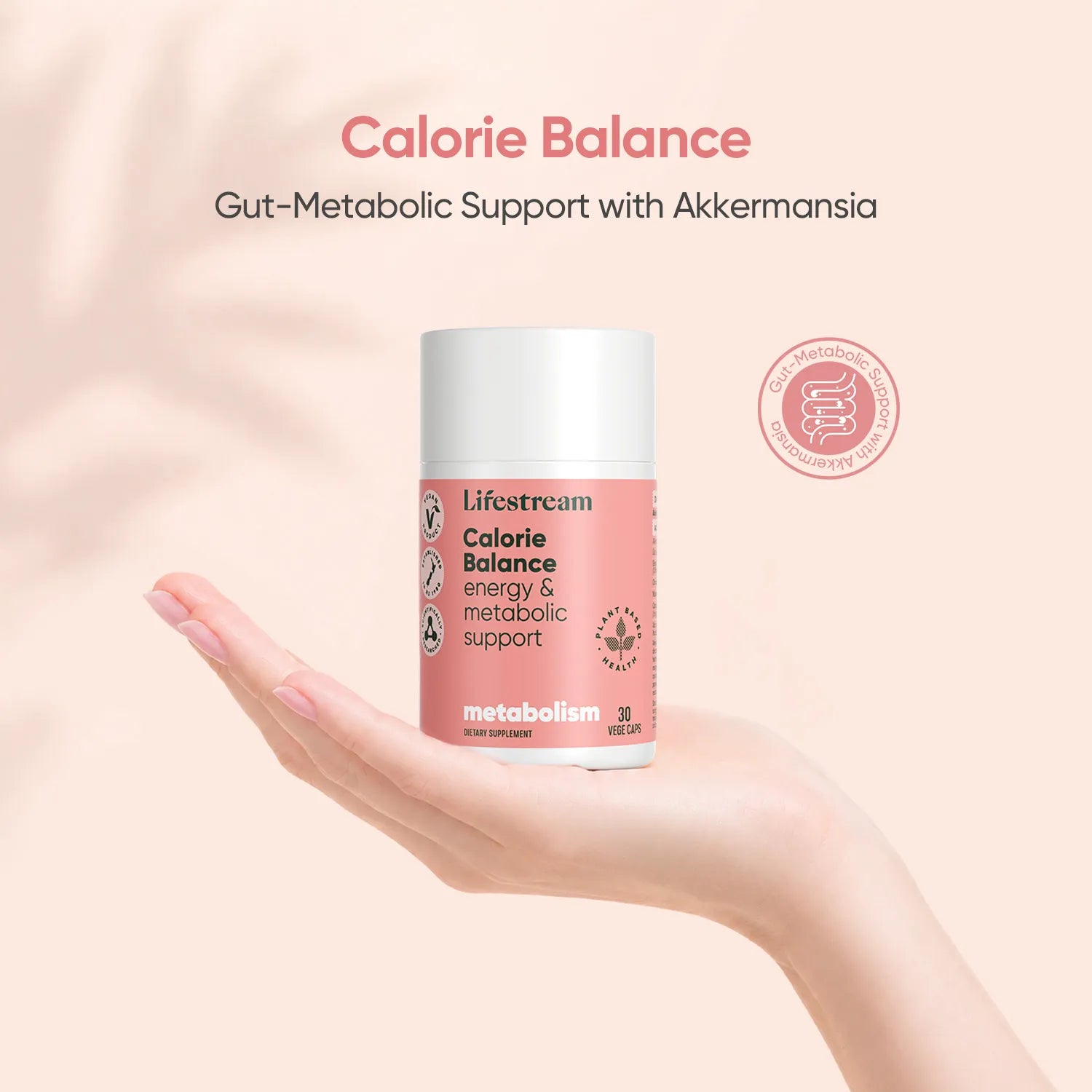 Metabolic & Gut Wellness Bundle